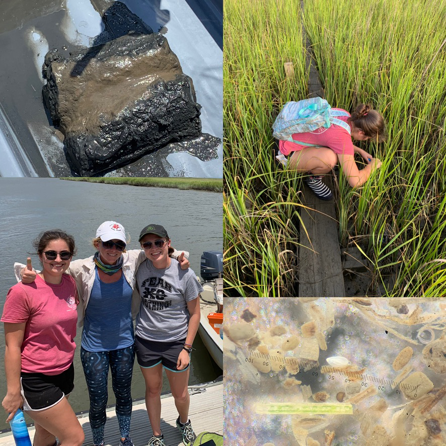 Photo collage of Dr. Gibson and student conducting field research.