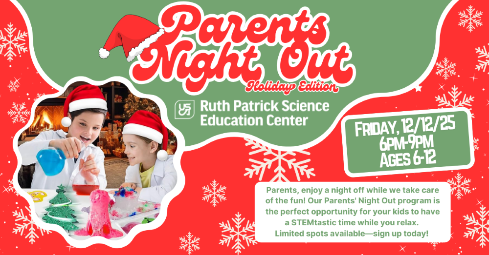 Parents Night Out Holiday Edition Flyer